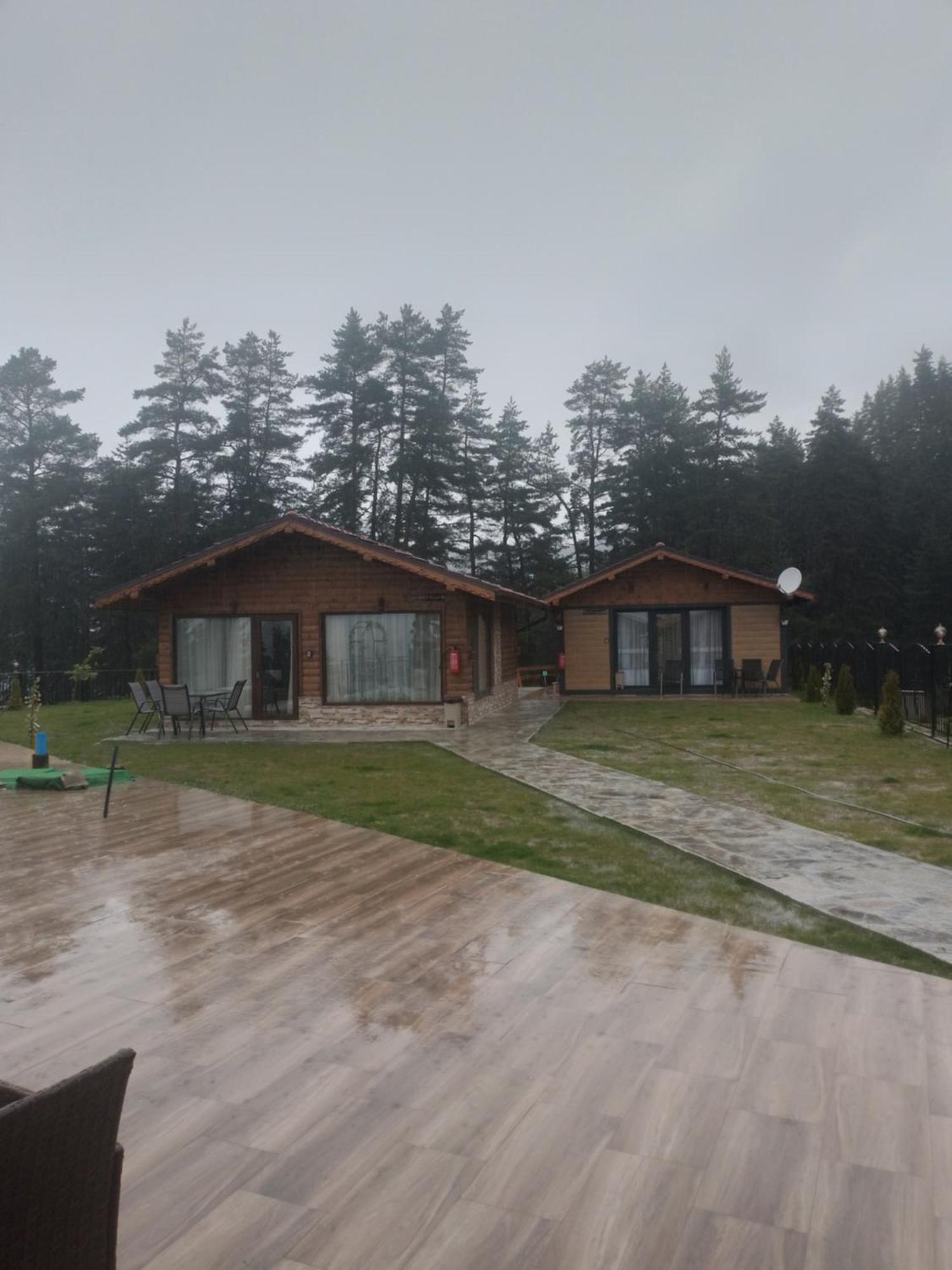 Villa Safi Forest Village