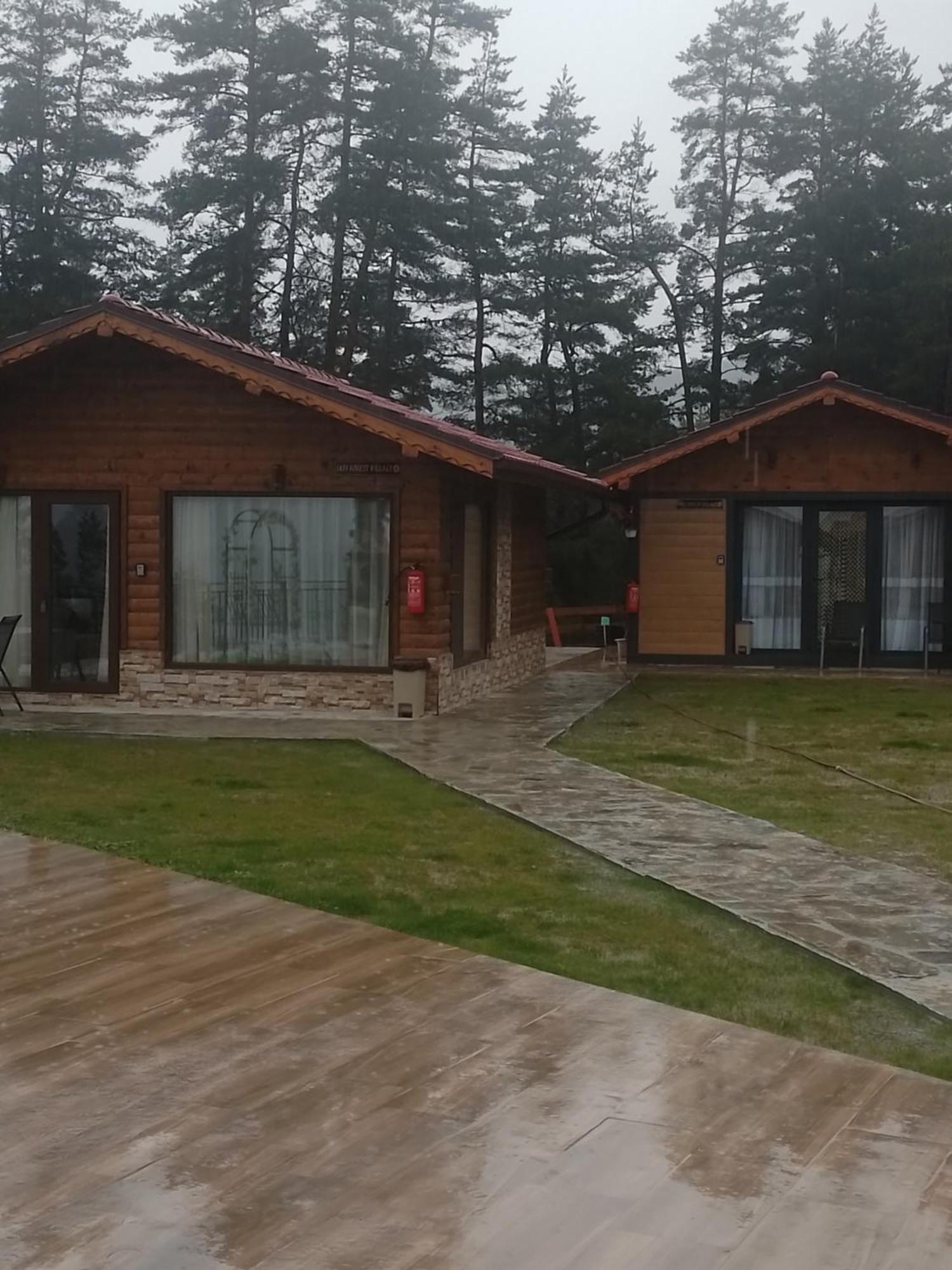Safi Forest Village *